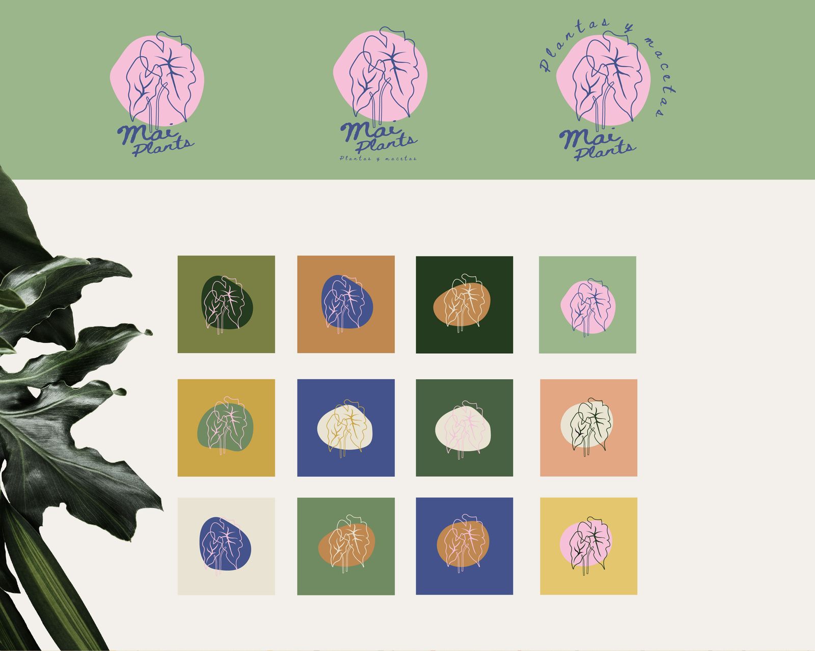 Mai Plants