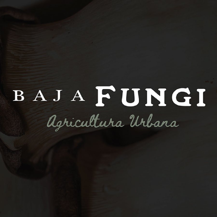 Baja Fungi · Dirección 1