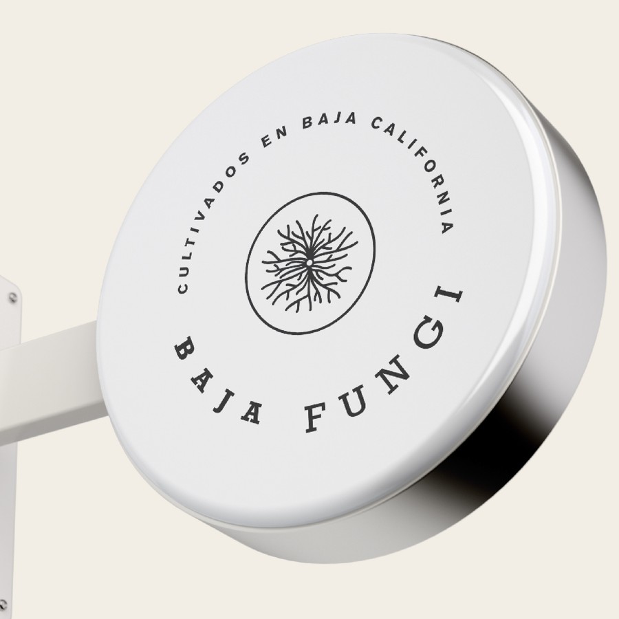 Baja Fungi · Dirección 2