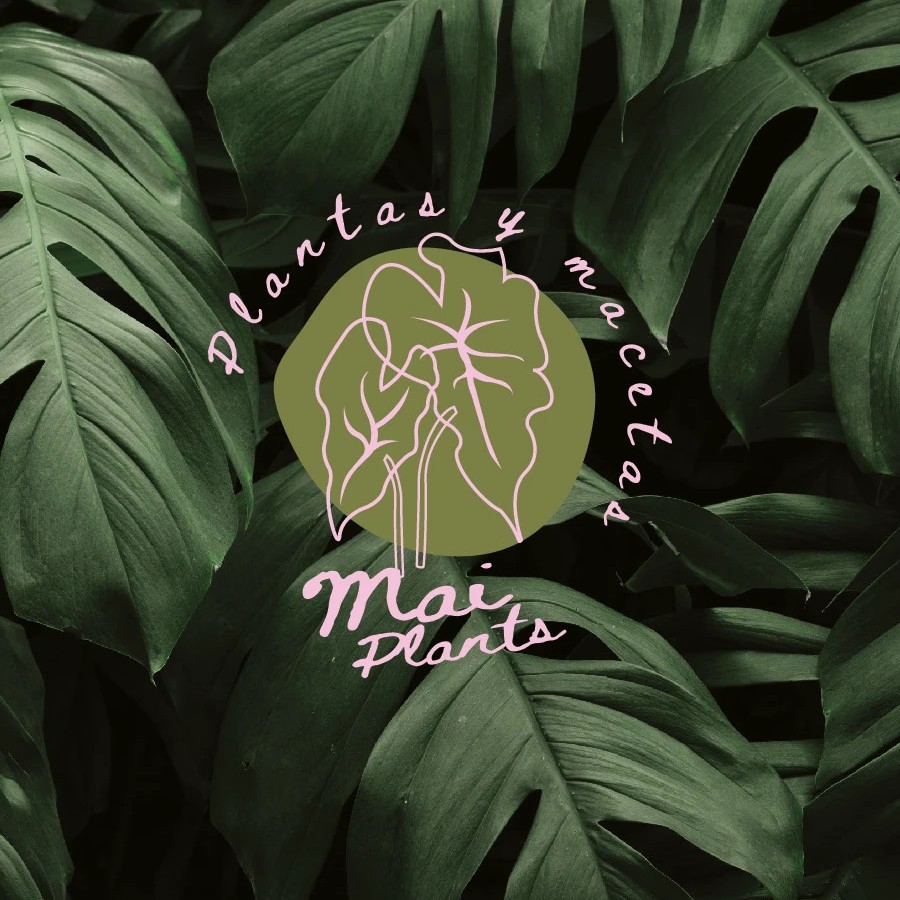 Mai Plants
