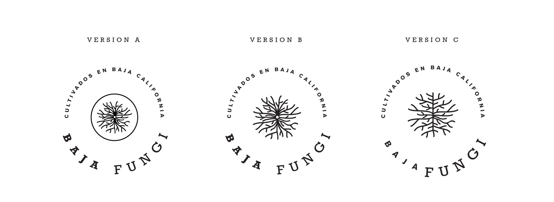 Baja Fungi · Dirección 2