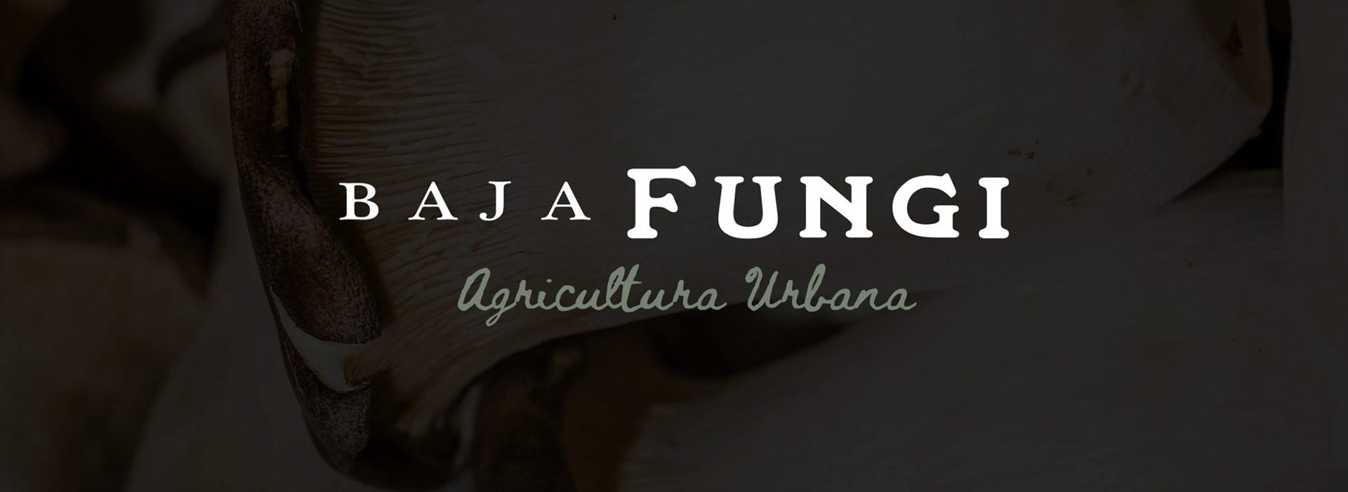 Baja Fungi · Dirección 1