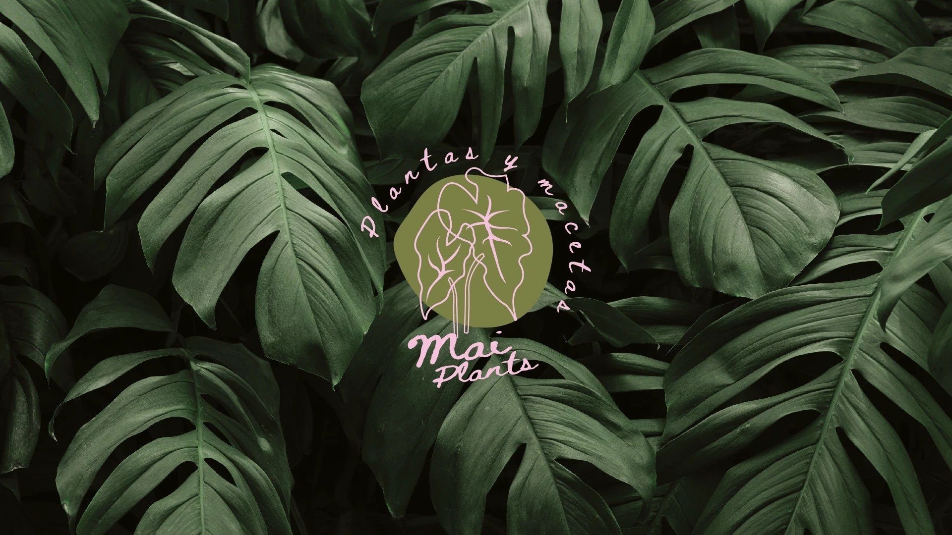Mai Plants