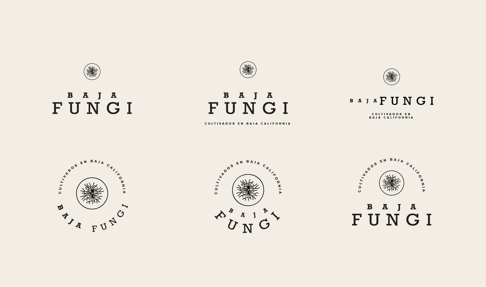 Baja Fungi · Dirección 2