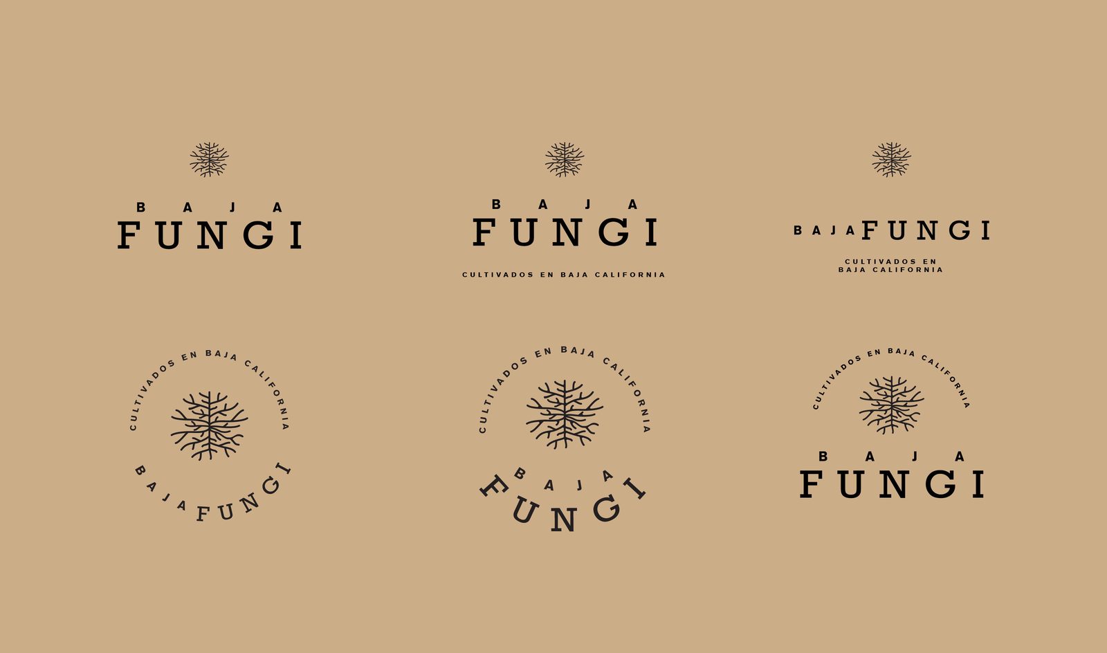 Baja Fungi · Dirección 2